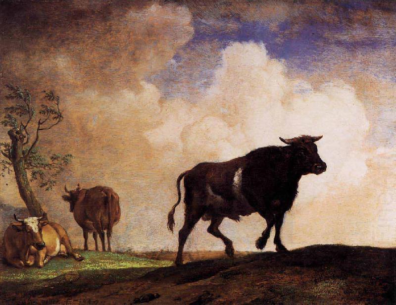 paulus potter The Bull oil painting picture